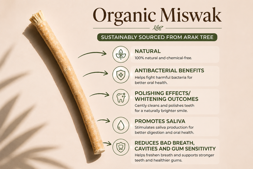 Organic Miswak Twig: Sustainably Sourced from the Arak Tree