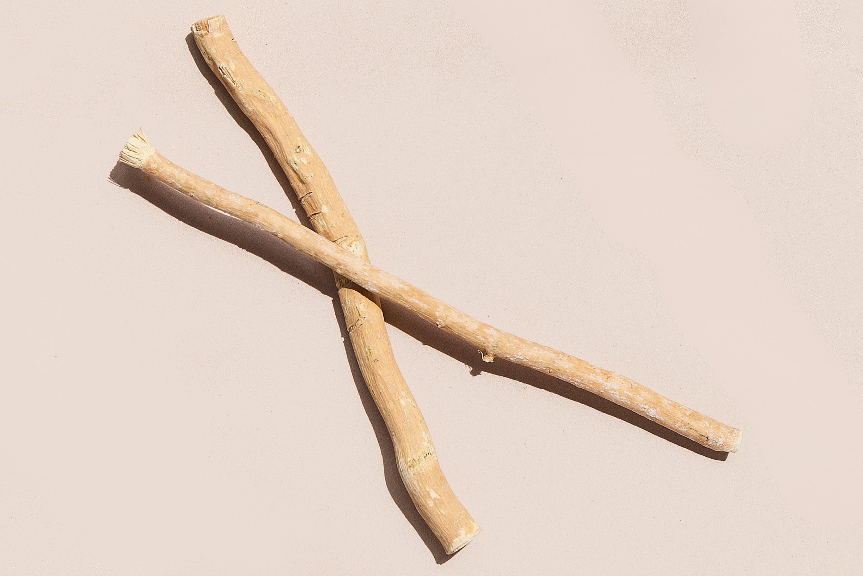 Organic Miswak Twig: Sustainably Sourced from the Arak Tree